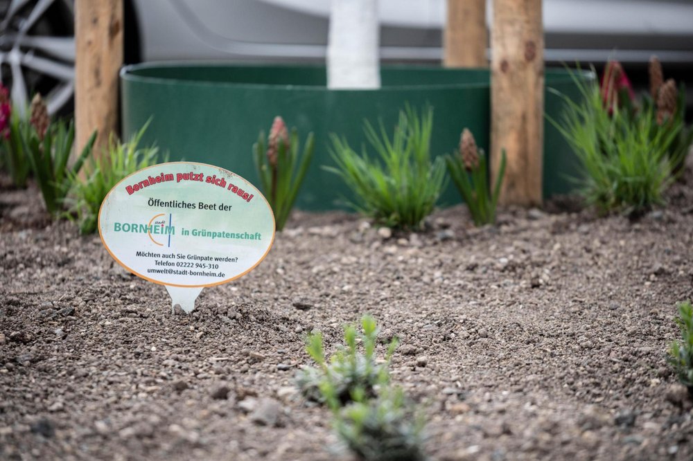 Beet Gruenpatenschaft