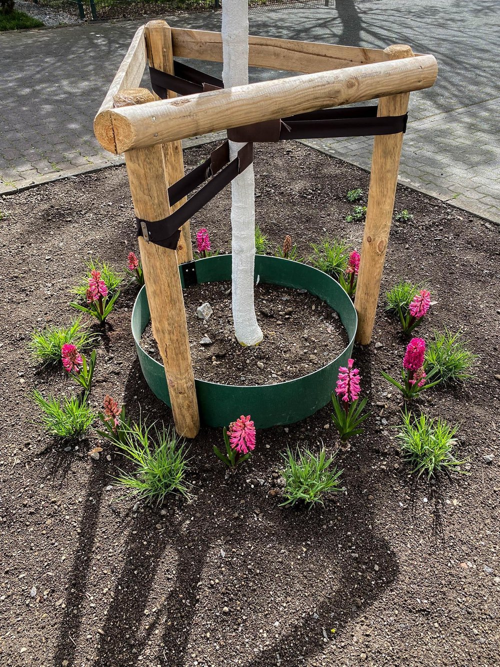 Beet Gruenpatenschaft