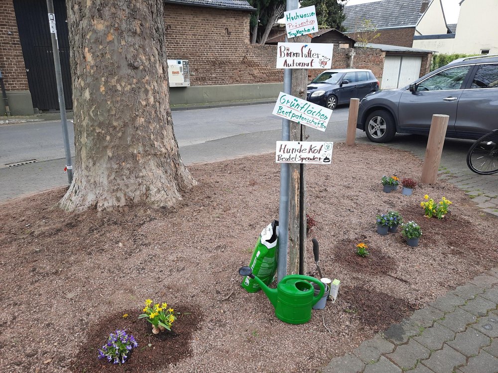 Aktivitäten für Walberberg