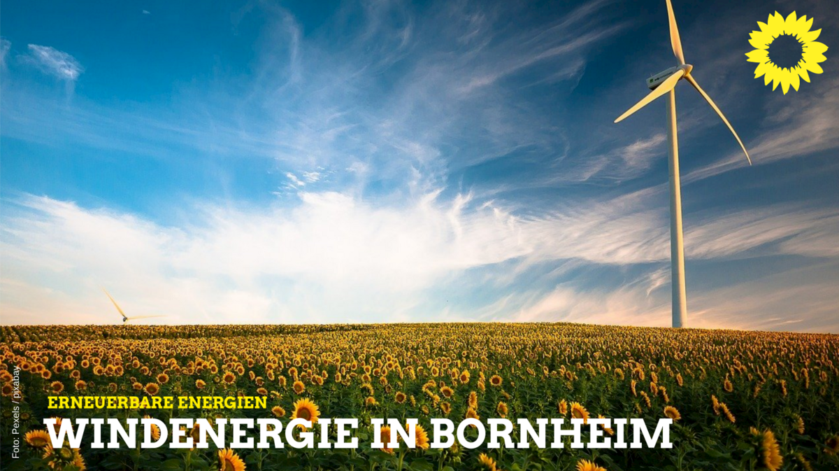 Windräder in Sonnenblumenfeld