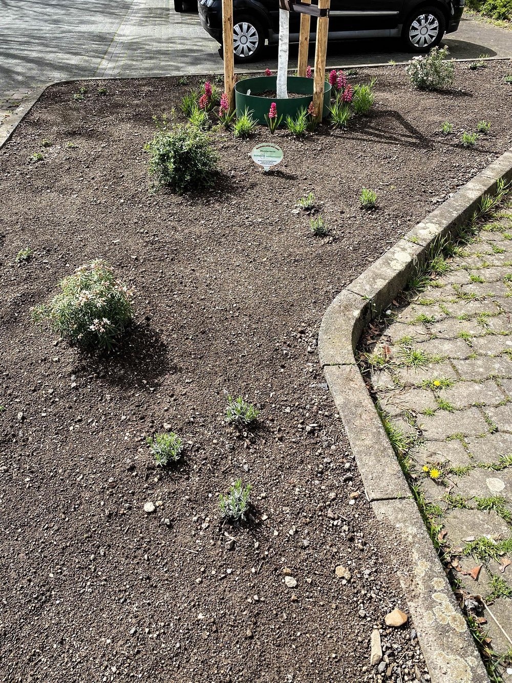 Baum Gruenpatenschaft